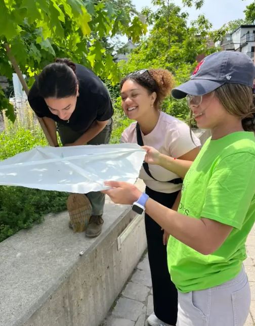 Three women sweeping